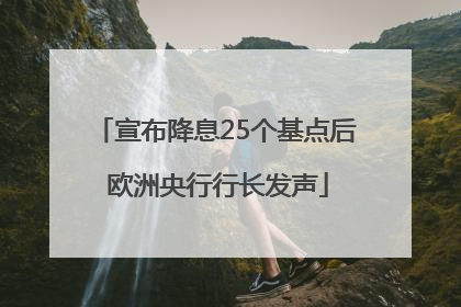 宣布降息25个基点后 欧洲央行行长发声