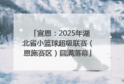 宣恩：2025年湖北省小篮球超级联赛（恩施赛区）圆满落幕