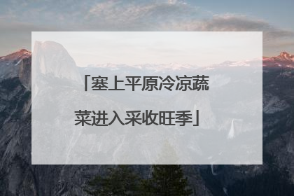 塞上平原冷凉蔬菜进入采收旺季