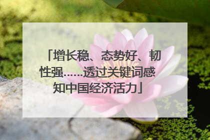 增长稳、态势好、韧性强……透过关键词感知中国经济活力