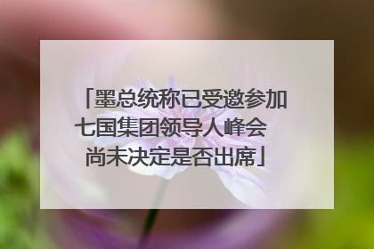 墨总统称已受邀参加七国集团领导人峰会 尚未决定是否出席