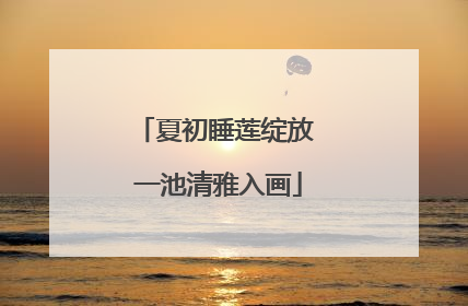 夏初睡莲绽放 一池清雅入画