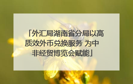 外汇局湖南省分局以高质效外币兑换服务 为中非经贸博览会赋能