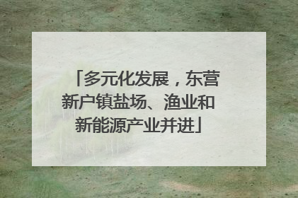 多元化发展，东营新户镇盐场、渔业和新能源产业并进