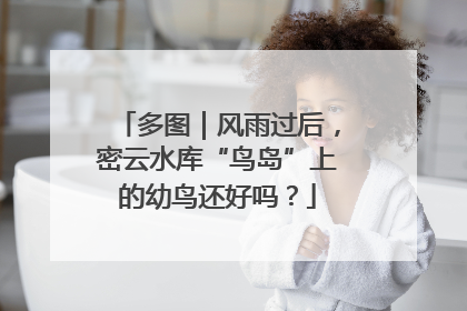 多图｜风雨过后，密云水库“鸟岛”上的幼鸟还好吗？