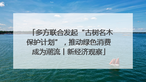 多方联合发起“古树名木保护计划”，推动绿色消费成为潮流丨新经济观察