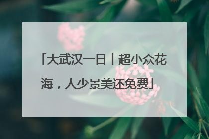 大武汉一日丨超小众花海，人少景美还免费