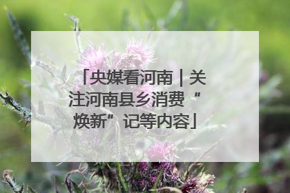央媒看河南｜关注河南县乡消费“焕新”记等内容