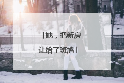 她，把新房让给了斑鸠