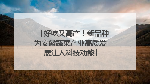 好吃又高产！新品种为安徽蔬菜产业高质发展注入科技动能