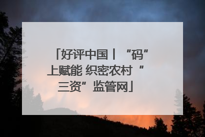 好评中国丨“码”上赋能 织密农村“三资”监管网