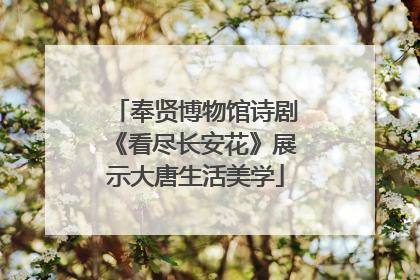 奉贤博物馆诗剧《看尽长安花》展示大唐生活美学