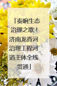 奏响生态治理之歌！济南龙脊河治理工程河道主体全线贯通