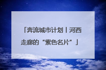 奔流城市计划丨河西走廊的“紫色名片”