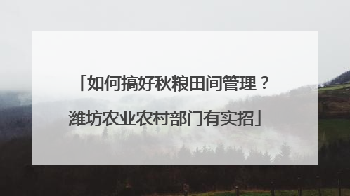 如何搞好秋粮田间管理？潍坊农业农村部门有实招