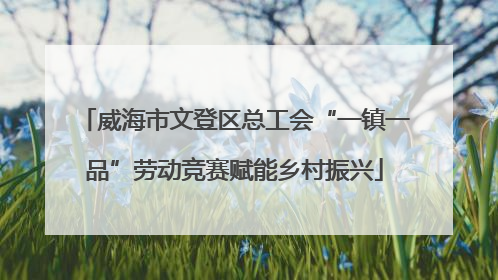 威海市文登区总工会“一镇一品”劳动竞赛赋能乡村振兴