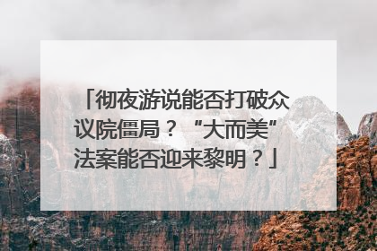 彻夜游说能否打破众议院僵局？“大而美”法案能否迎来黎明？