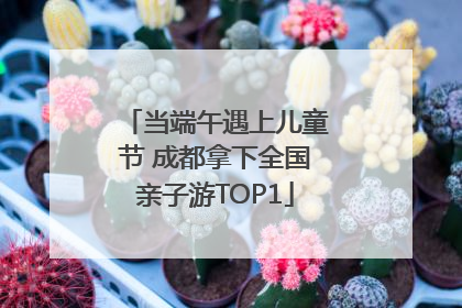 当端午遇上儿童节 成都拿下全国亲子游TOP1
