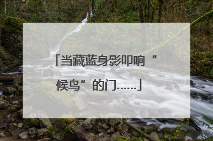 当藏蓝身影叩响“候鸟”的门……