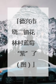 德兴市绕二镇花林村蓝莓“紫”了（图）