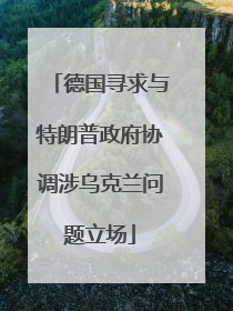 德国寻求与特朗普政府协调涉乌克兰问题立场