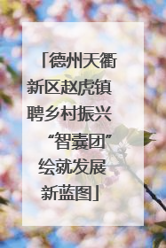 德州天衢新区赵虎镇聘乡村振兴“智囊团” 绘就发展新蓝图