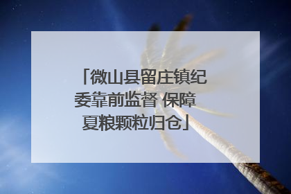 微山县留庄镇纪委靠前监督 保障夏粮颗粒归仓
