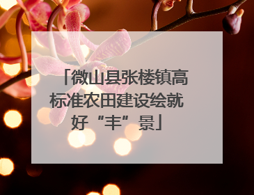 微山县张楼镇高标准农田建设绘就好“丰”景