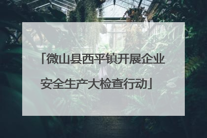 微山县西平镇开展企业安全生产大检查行动