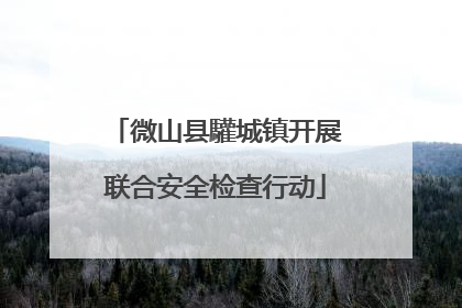 微山县驩城镇开展联合安全检查行动