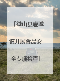 微山县驩城镇开展食品安全专项检查