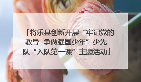 将乐县创新开展“牢记党的教导  争做强国少年”少先队“入队第一课”主题活动