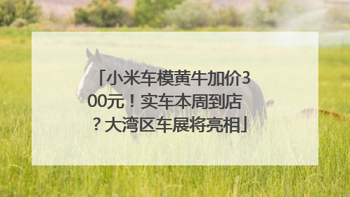 小米车模黄牛加价300元！实车本周到店？大湾区车展将亮相
