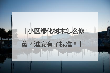 小区绿化树木怎么修剪？淮安有了标准！