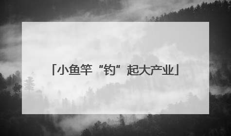 小鱼竿“钓”起大产业