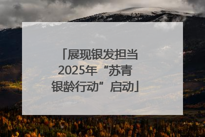 展现银发担当 2025年“苏青银龄行动”启动