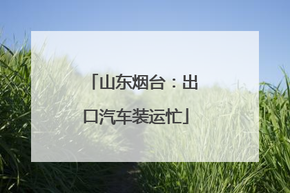 山东烟台：出口汽车装运忙