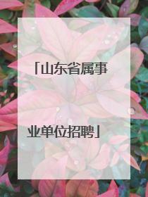 山东省属事业单位招聘