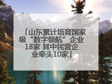 山东累计培育国家级“数字领航”企业18家 其中民营企业牵头10家