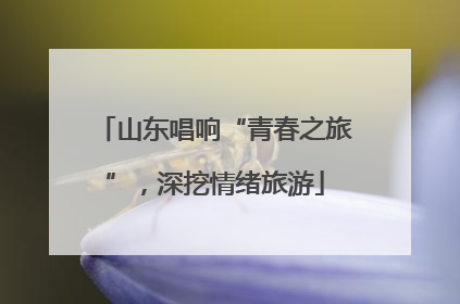 山东唱响“青春之旅”，深挖情绪旅游