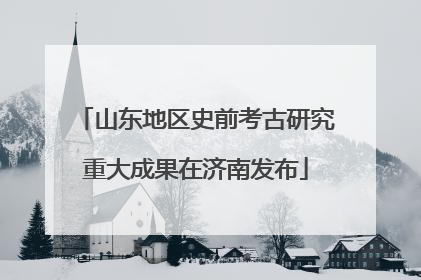 山东地区史前考古研究重大成果在济南发布