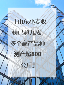 山东小麦收获已超九成 多个高产品种测产超800公斤