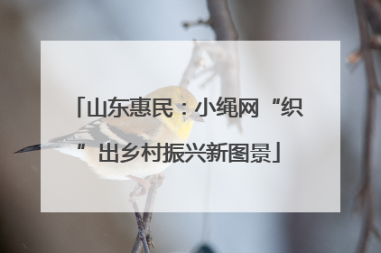 山东惠民：小绳网“织”出乡村振兴新图景