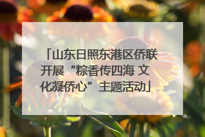 山东日照东港区侨联开展“粽香传四海 文化凝侨心”主题活动