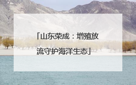 山东荣成：增殖放流守护海洋生态