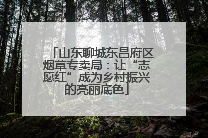 山东聊城东昌府区烟草专卖局：让“志愿红”成为乡村振兴的亮丽底色