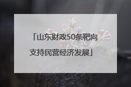 山东财政50条靶向支持民营经济发展