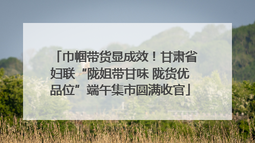 巾帼带货显成效！甘肃省妇联“陇姐带甘味 陇货优品位”端午集市圆满收官