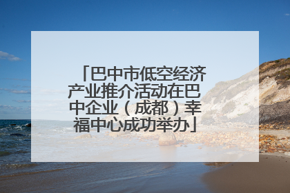 巴中市低空经济产业推介活动在巴中企业（成都）幸福中心成功举办