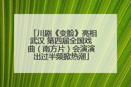 川剧《变脸》亮相武汉 第四届全国戏曲（南方片）会演演出过半频掀热潮